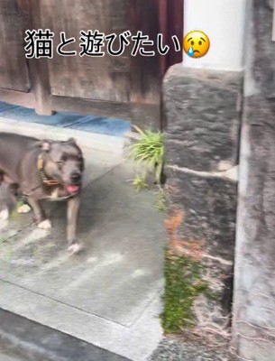 こう見えてフレンドリーです♪