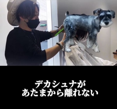仕事中の人