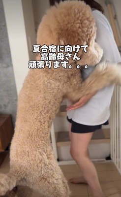 当日もうまくいきますように!