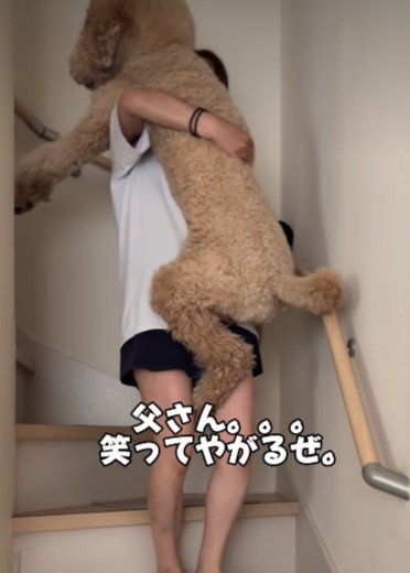 階段を降りられない!!