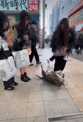 ギャップが素敵なソラちゃんでした