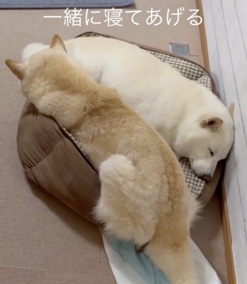 窮屈だけど、あたたかい空間