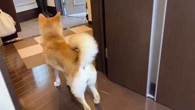 「休日なのにお仕事行っちゃうの…？」