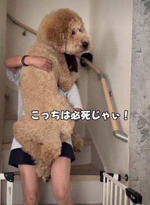「ママ…ありがと…」