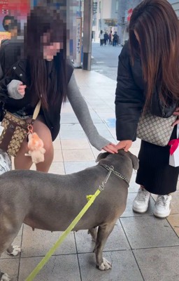 褒められちゃった！