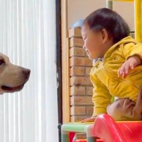 1歳の女の子が『すべり台で遊ぼうとした』結果→なぜか『大型犬』を待っていて…可愛すぎるやり取りが17万再生「仲良し」「幸せが溢れてる」