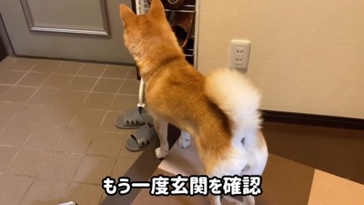 「帰ってくるかな？」と玄関へ