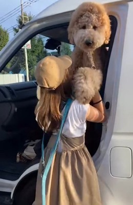 車から降りるのも…