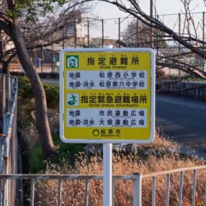 愛犬の命を守るための『災害対策』5つ 万が一の際、安全に避難するために飼い主がすべき事前準備とは?