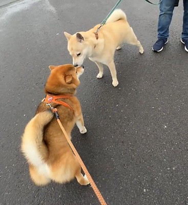「元気だった？」