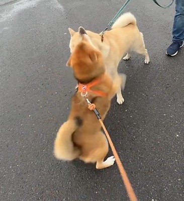 思わずハグ2回目！！