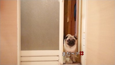 ダッシュで戻ってきて「まだ!?」と激怒