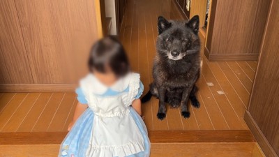 一休くんも妹ちゃんも寂しそう