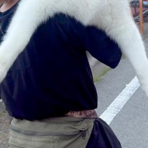26キロの大型犬が『疲れて歩かなくなった』結果→仕方なく抱っこして…自分の大きさを理解していない光景に反響「可愛い」「子犬だと思ってるw」