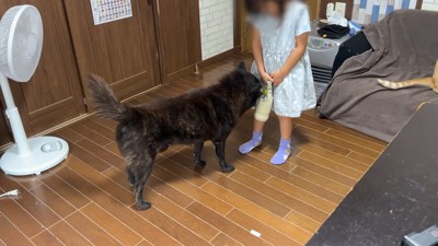 「元気だった？」と匂いをクンクン