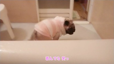 くるりと回って大喜び♪