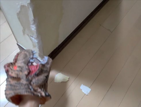 実演