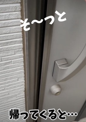 ママが帰ってきました