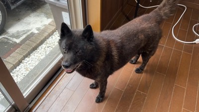 「早く会いたいな～」とソワソワ