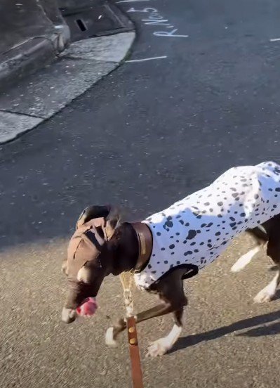 かっこいいのに本人は不服！？