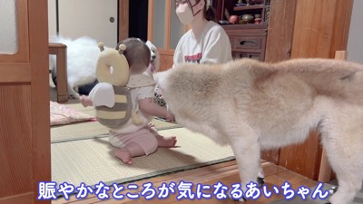 仲間に入れてほしい！