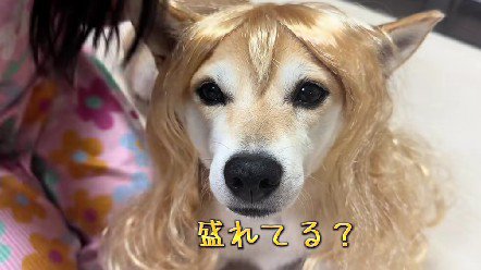 まるで平成ギャル！？