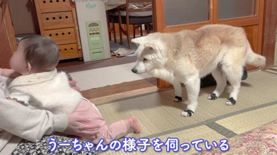「大丈夫かな？」