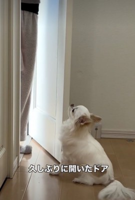 やっと会えました…!