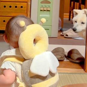 赤ちゃんと遊んでいたら、なぜか陰から『おばあちゃん犬』が…尊すぎる『仲間に入れてほしいと言っている光景』が23万再生「素敵で泣いた」