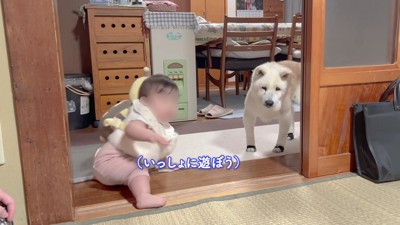 赤ちゃんが手を差し伸べた