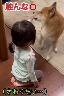 「触らないで！！」