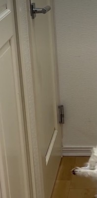 お姉ちゃんは出てきません…