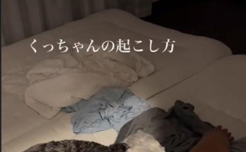 犬の頭