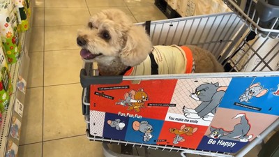 おでかけしたら、再び笑顔に!