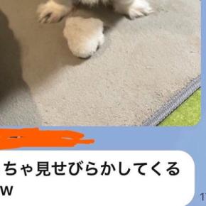 犬を預けた友人からLINE→『めっちゃ見せびらかしてくるｗｗ』と写真がきていて…あまりにも可愛い『自慢の表情』に反響「お友だちも素敵」