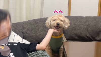 撫でてもらってニヤニヤ♡