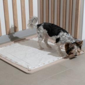 犬の『ウンチが散らばってしまう』理由3つ　適切な場所で排泄してもらうための対処法とは？