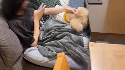 甘えん坊モード