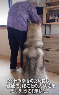 これからも元気でね!