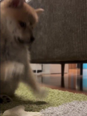 将来は大物に成長します！！