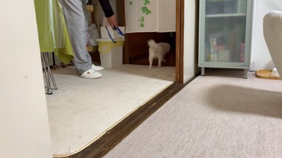 最後は逃走！