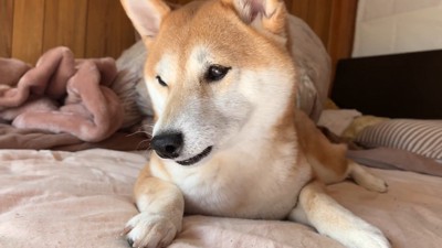 「おいで」と声をかけたら…