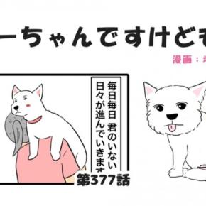 ちーちゃんですけどもっ【第377話】「君のいない人生を歩んでいく」