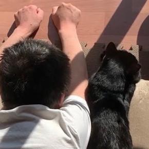 窓際で『猫の真似』をしていたパパ→犬にも『おいで』と声をかけた結果…あまりにも尊い光景が79万再生「可愛すぎる3匹ｗ」「ニヤニヤ止まらん」