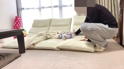 それでも起きません！