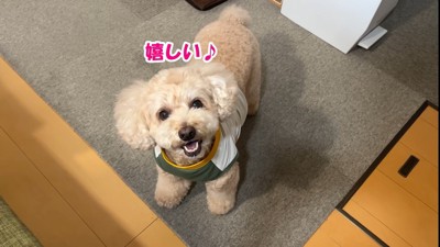 お姉ちゃんに会えると聞いてニッコリ♪