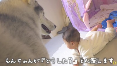 「大丈夫？」