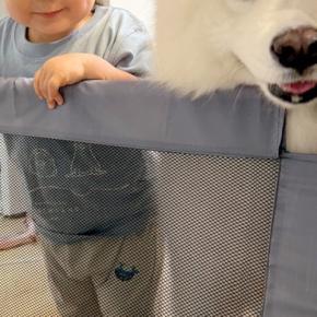 こっそりアイスを食べていたら、視線を感じたので振り返ると→男の子と大型犬が…『本当の姉弟のような光景』に反響「最高」「お顔が可愛すぎる」