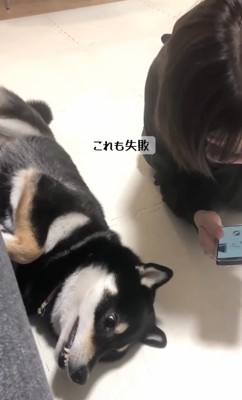 お姉ちゃんはスマホに夢中