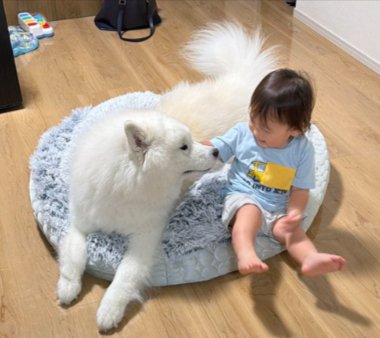 一緒